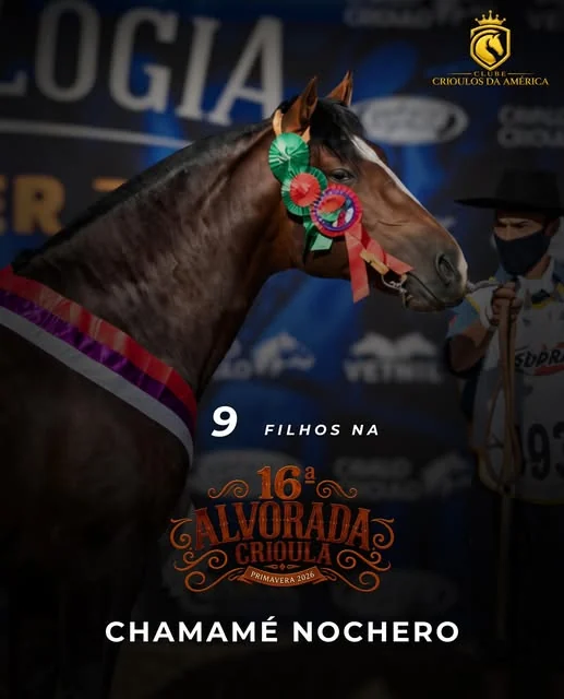 Publicação do Clube Crioulos da América que destaca nove filhos de Chamamé Nochero na 16ª Alvorada Crioula.